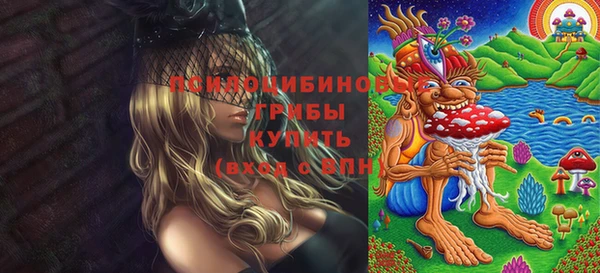 скорость Каменногорск