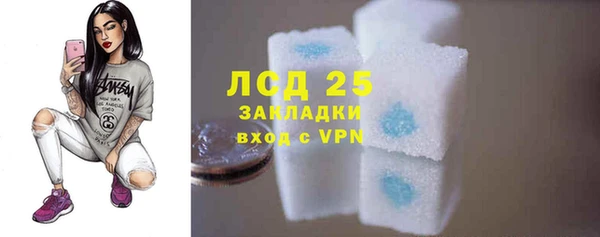 скорость Каменногорск