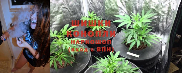 скорость Каменногорск